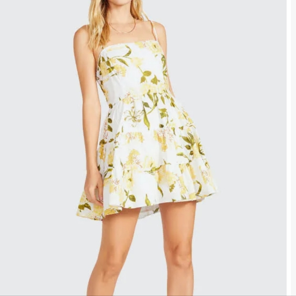 BB Dakota froral mini dress